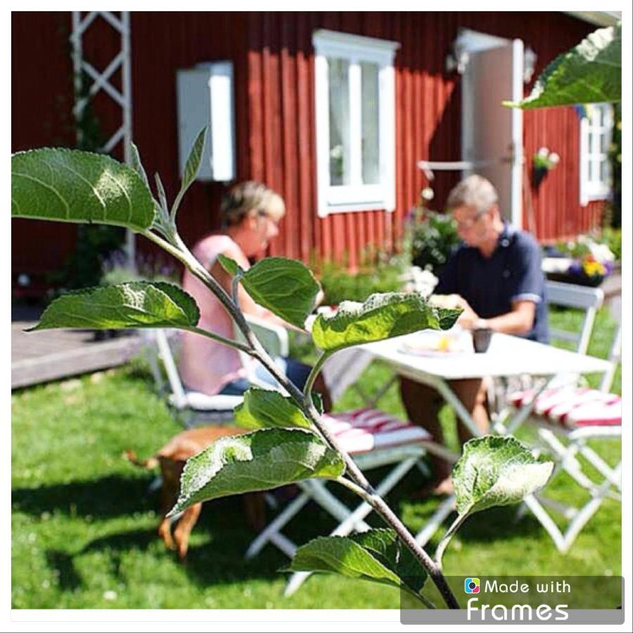 Lavendeltorpet Bed and Breakfast Haggum Exteriör bild