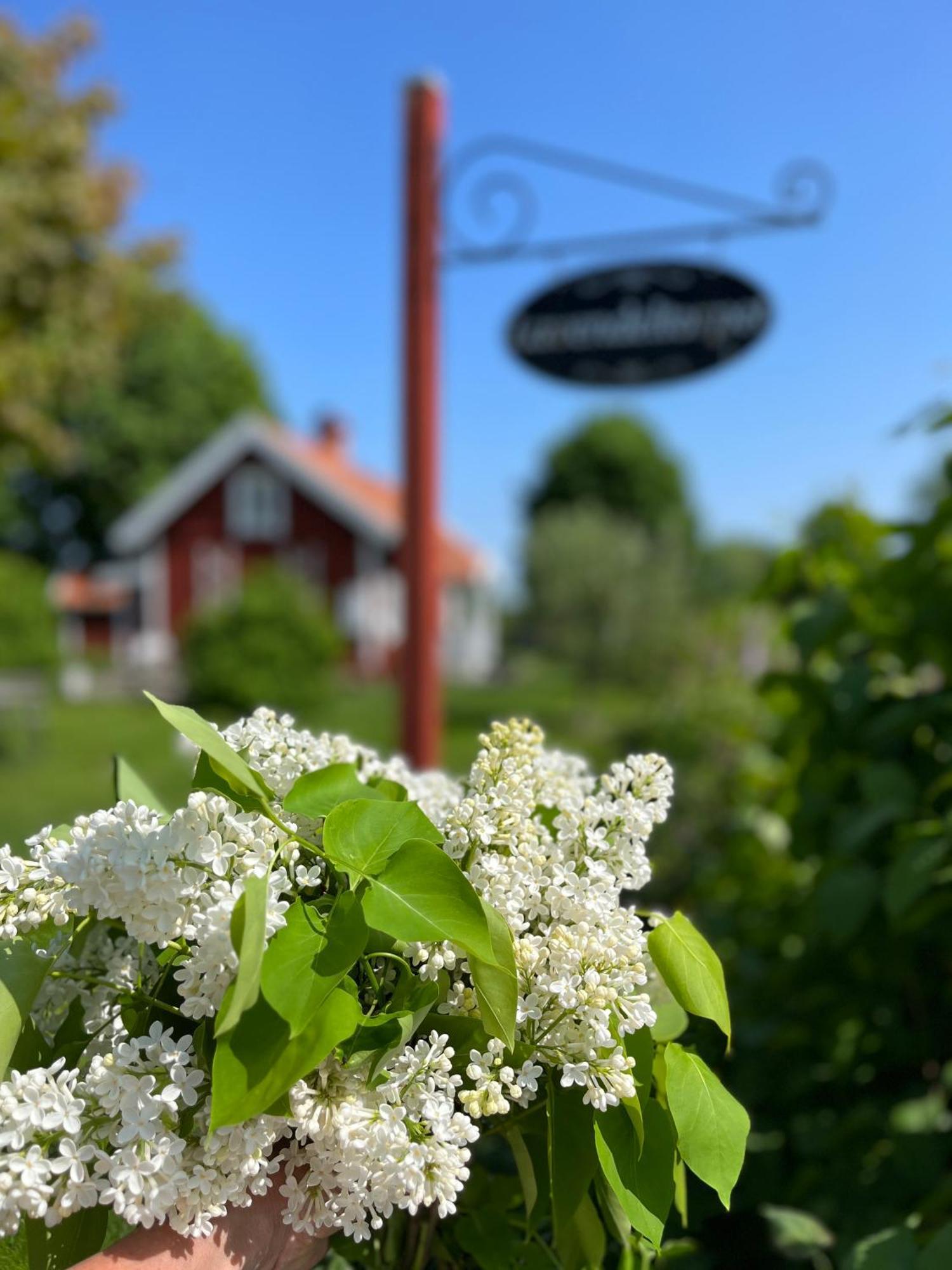 Lavendeltorpet Bed and Breakfast Haggum Exteriör bild