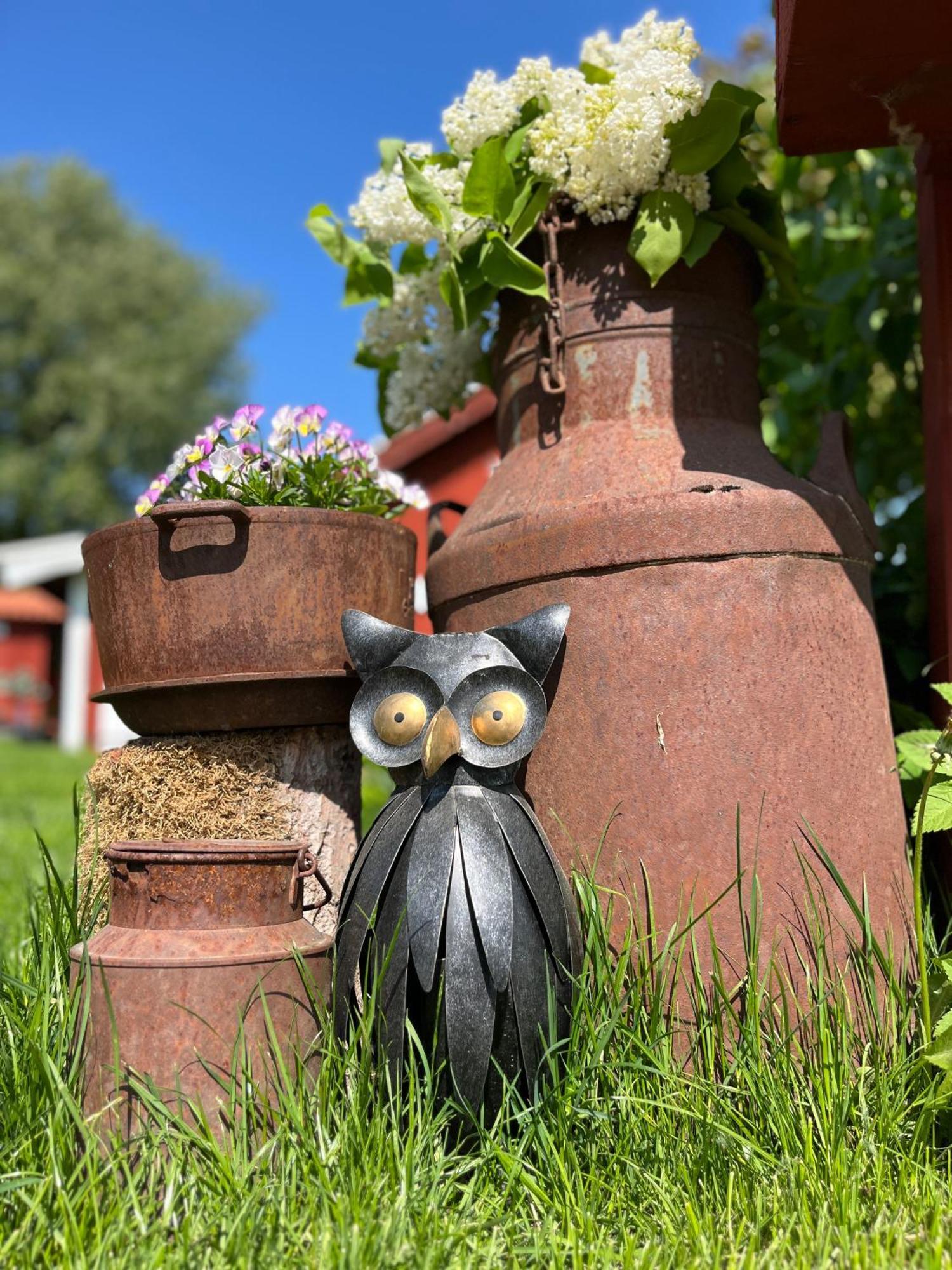 Lavendeltorpet Bed and Breakfast Haggum Exteriör bild